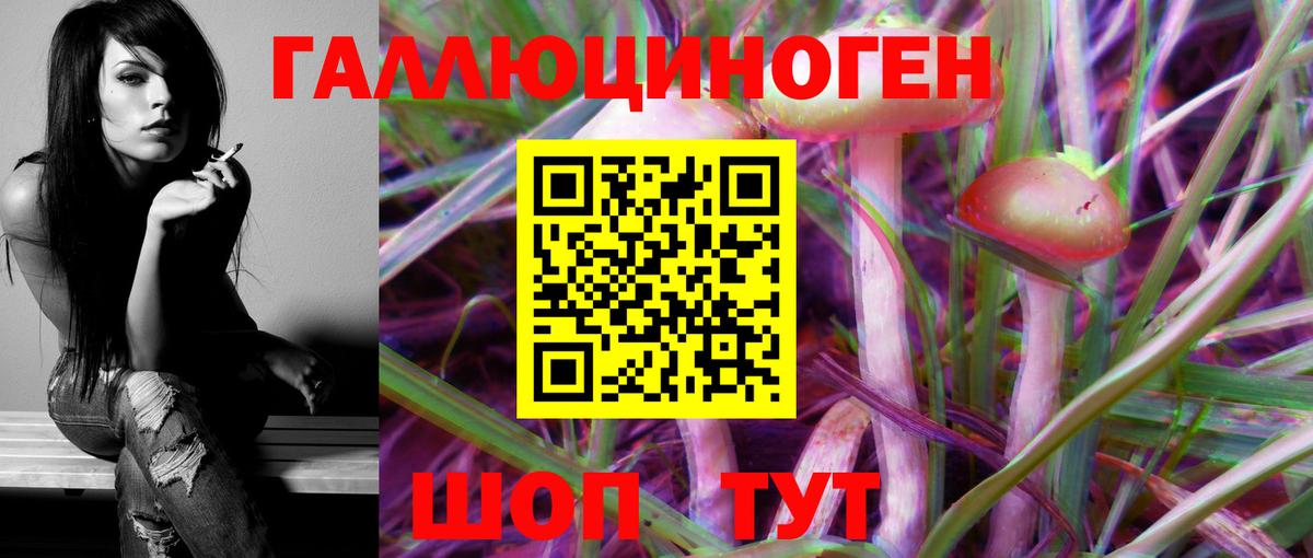 Самара  Псилоцибиновые грибы Psilocybe  Галлюциногенные грибы мицелий  Вход с VPN 